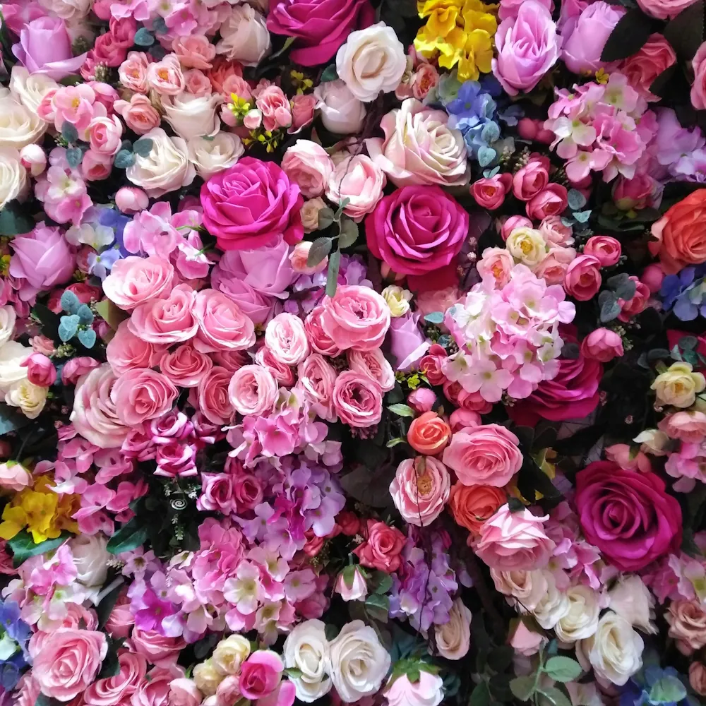 「バラ」の花言葉ランキング